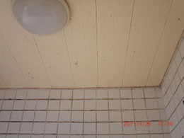 3清掃事例：浴室のカビ汚れ、タイルの目地