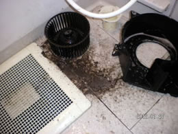 5清掃実例：お風呂場の換気扇や排水溝のお掃除