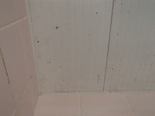 5清掃実例：梅雨の時期、浴室のカビ汚れをキレイに
