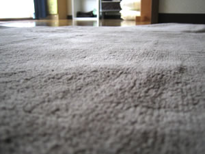 イメージ：カーペット、絨毯の清掃、ハウスクリーニング