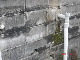 4高圧洗浄実例：ブロック塀や石垣などのコケや汚れ