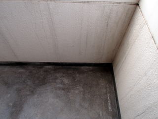 7洗浄実例：マンション・アパートの階段のクロズミ汚れ