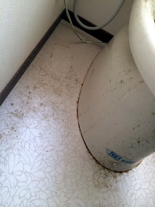 1清掃実例：ひどい汚れのトイレ(閲覧はご注意)