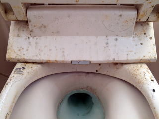 7清掃実例：ひどい汚れのトイレ(閲覧はご注意)