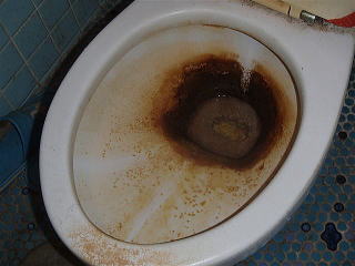 1清掃実例：衝撃的に汚れの酷いトイレのクリーニング