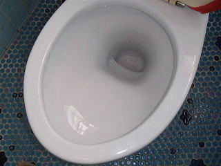 2清掃実例：衝撃的に汚れの酷いトイレのクリーニング