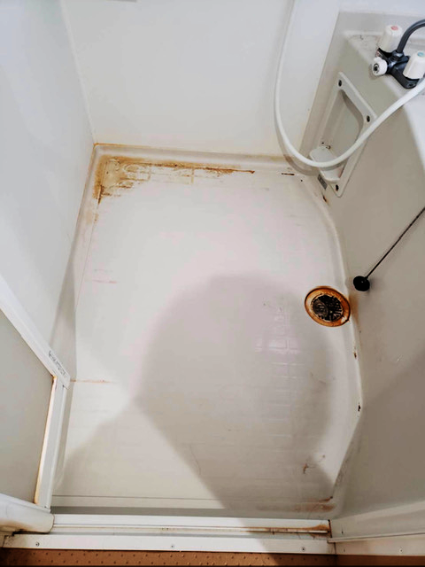 カビ汚れが四隅、排水口に目立つ浴室