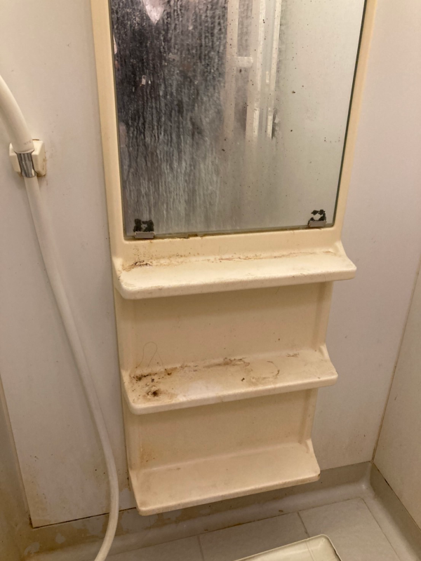 水垢やカビで汚れたお風呂の鏡